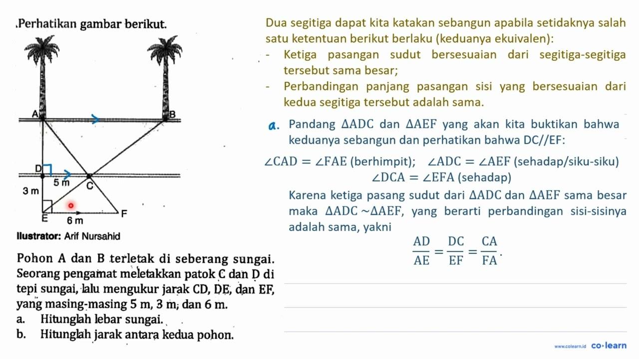 Perhatikan gambar berikut.Ilustrator: Arif NursahidPohon A