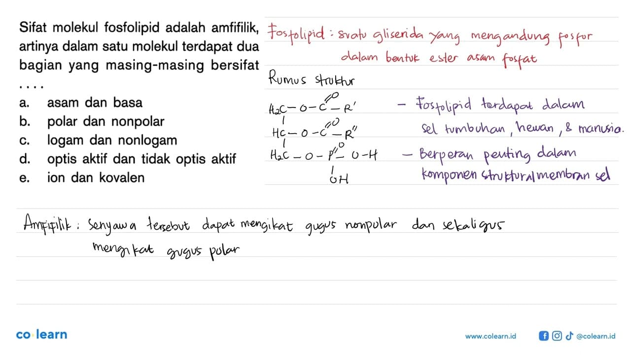 Sifat molekul fosfolipid adalah amfifilik, artinya dalam