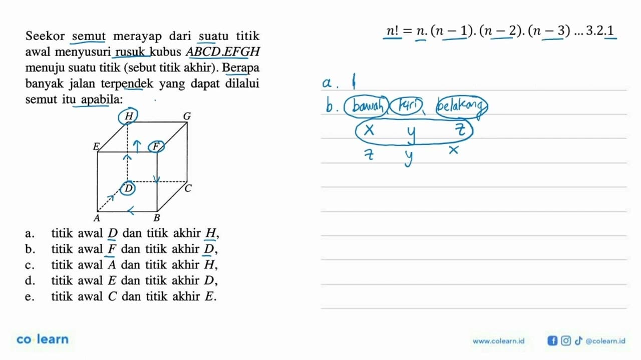 Seekor semut merayap dari suatu titik awal menyusuri rusuk