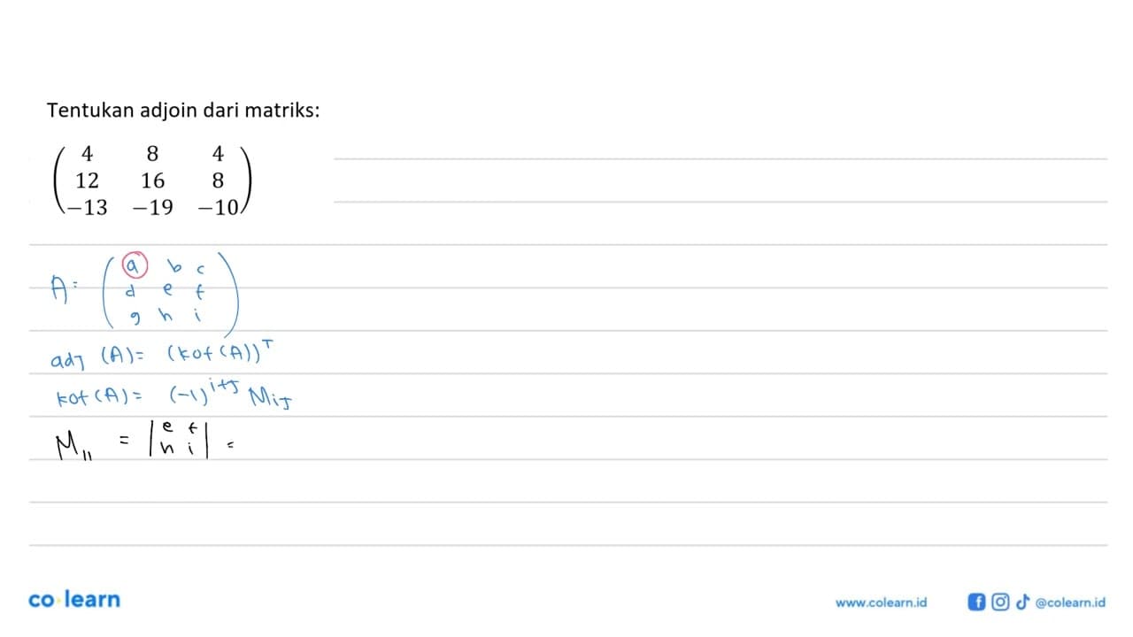 Tentukan adjoin dari matriks: (4 8 4 12 16 8 -13 -19 -10)