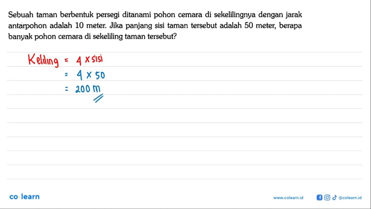 Sebuah taman berbentuk persegi ditanami pohon cemara di