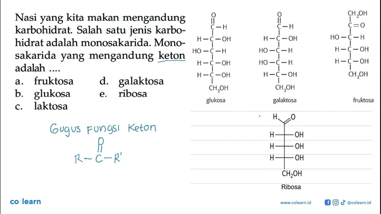 Nasi yang kita makan mengandung karbohidrat. Salah satu