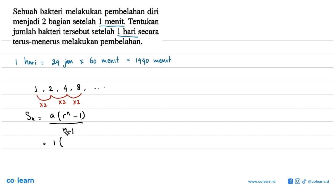 Sebuah bakteri melakukan pembelahan diri menjadi 2 bagian