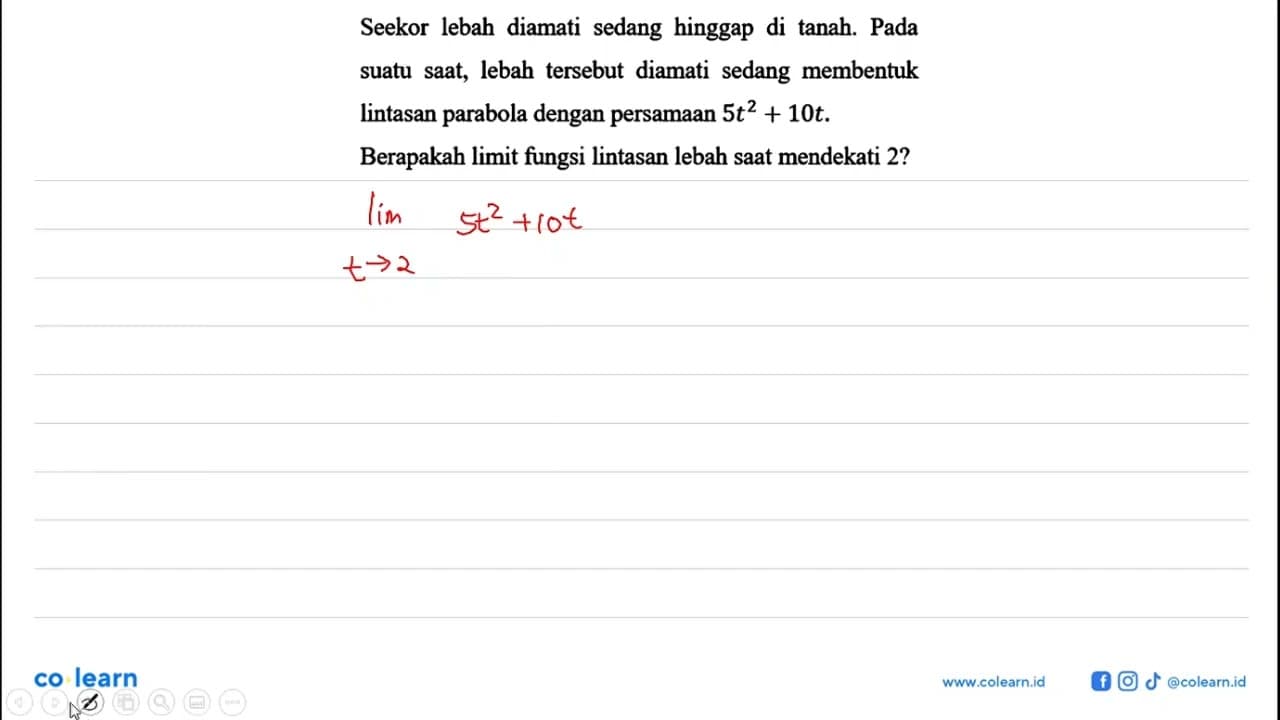 Seekor lebah diamati sedang hinggap di tanah. Pada suatu