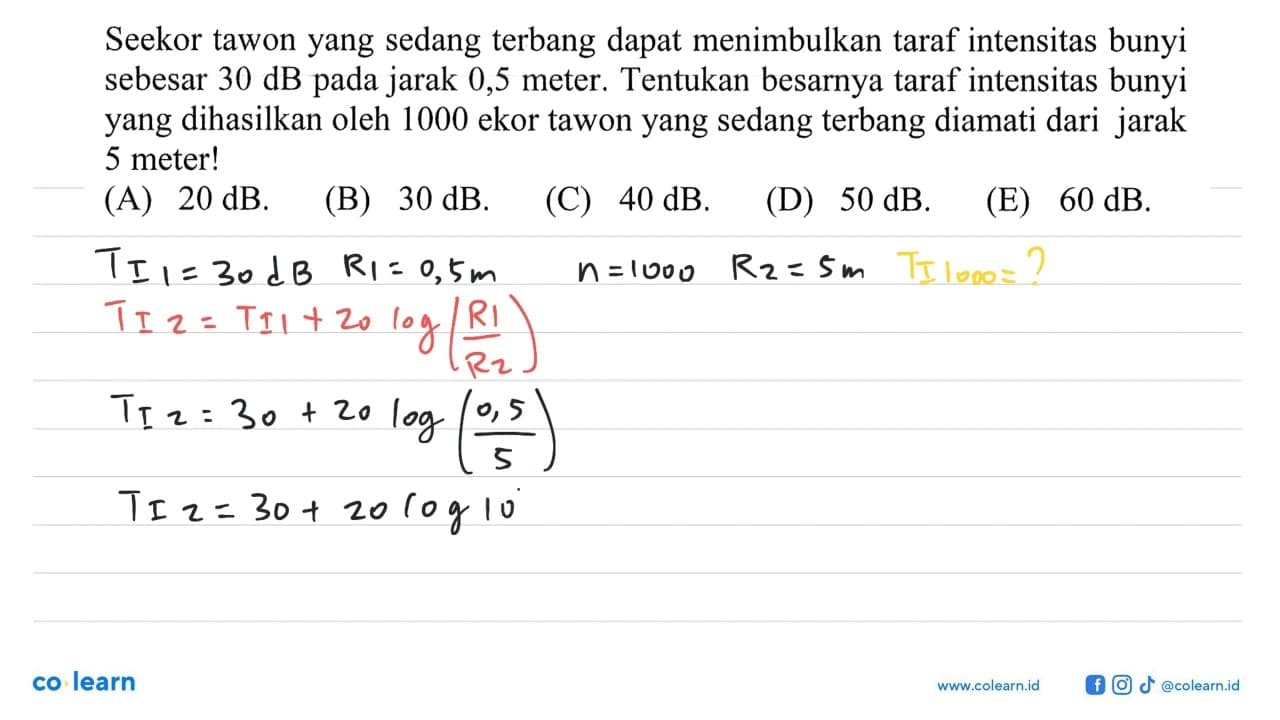 Seekor tawon yang sedang terbang dapat menimbulkan taraf