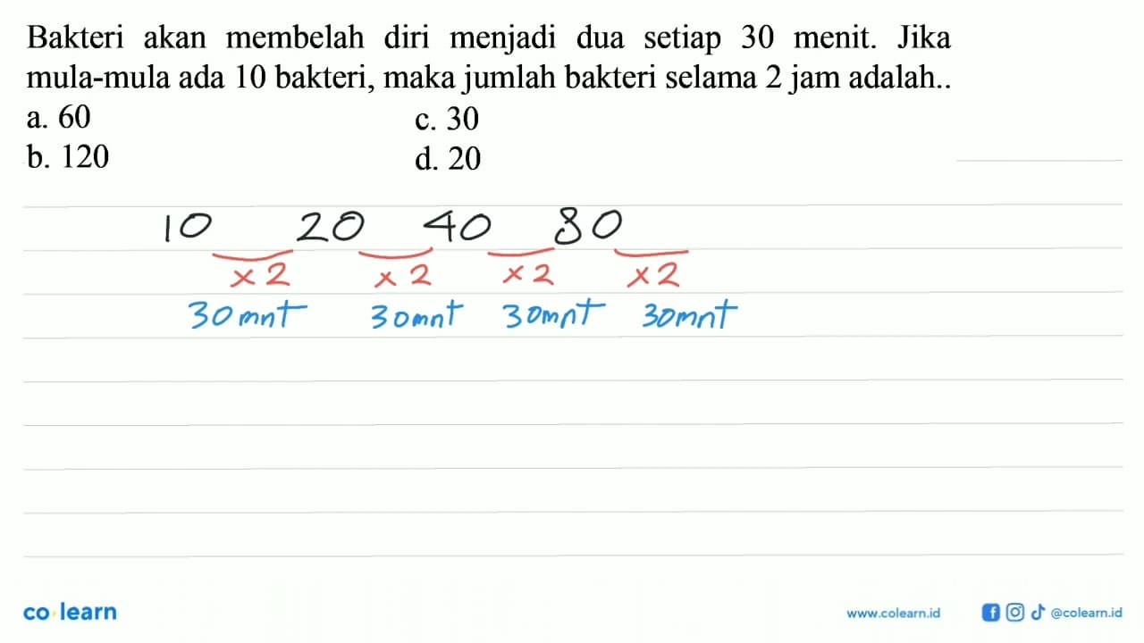 Bakteri akan membelah diri menjadi dua setiap 30 menit.