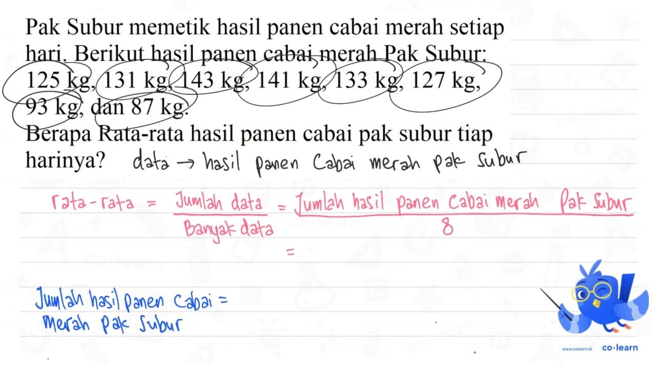 Pak Subur memetik hasil panen cabai merah setiap hari.