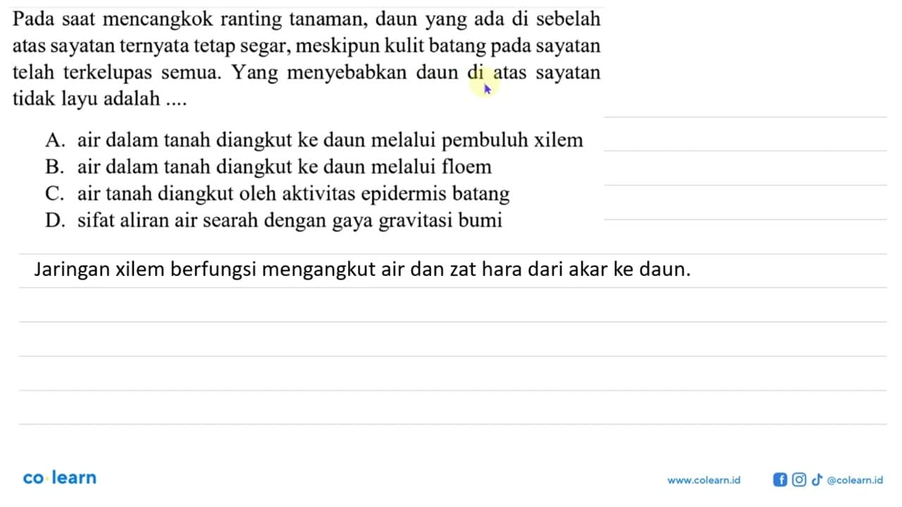 Pada saat mencangkok ranting tanaman, daun yang ada di