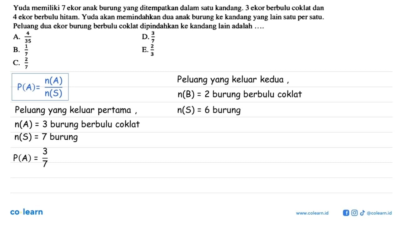 Yuda memiliki 7 ekor anak burung yang ditempatkan dalam