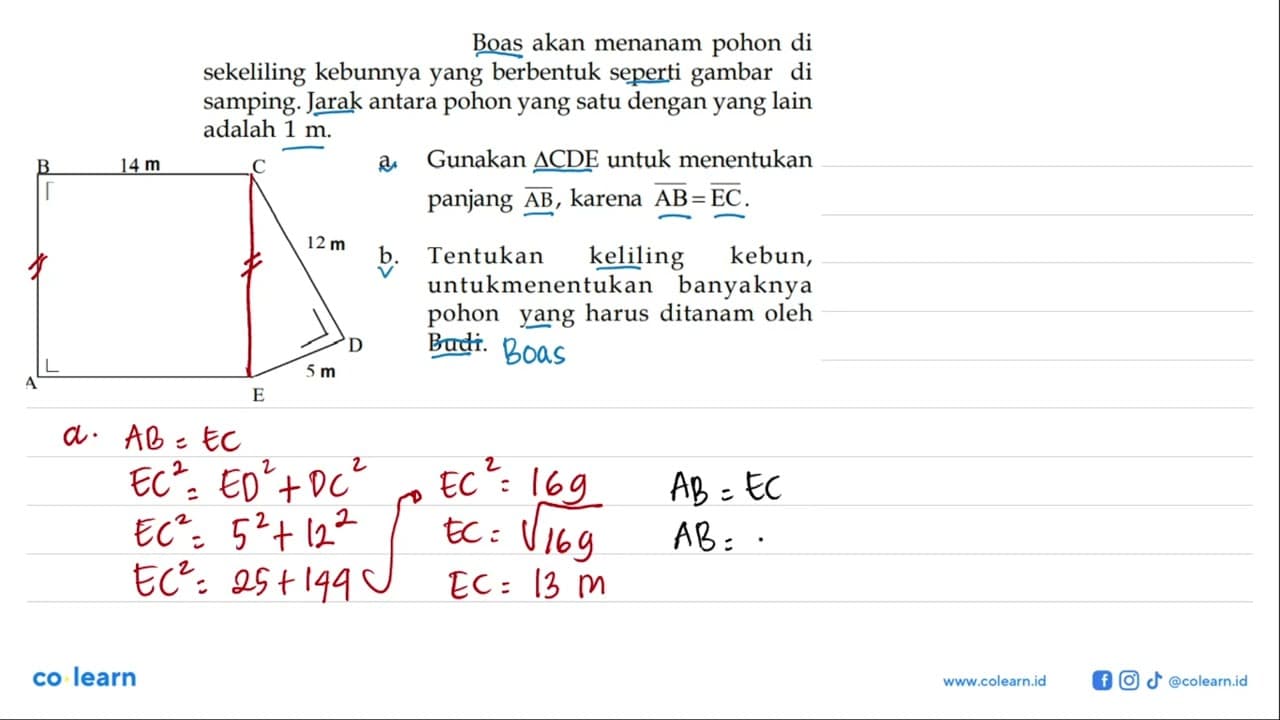 Boas akan menanam pohon di sekeliling kebunnya yang