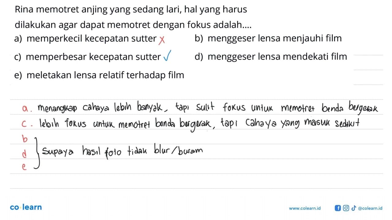 Rina memotret anjing yang sedang lari, hal yang harus