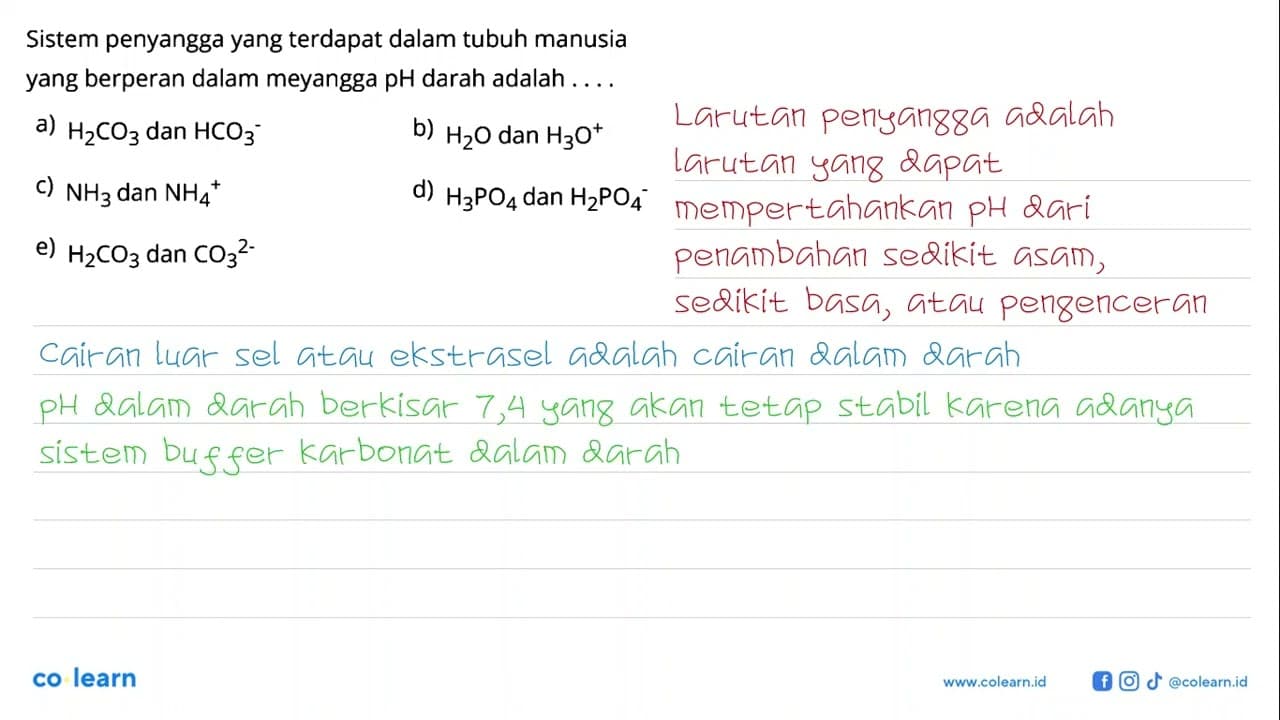 Sistem penyangga yang terdapat dalam tubuh manusia yang