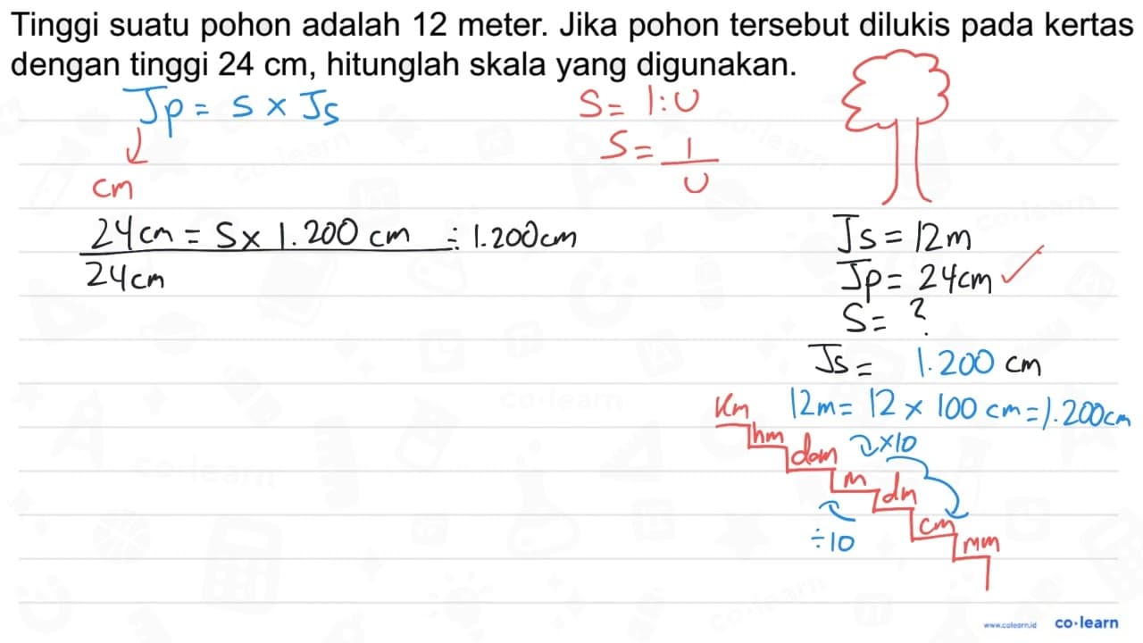 Tinggi suatu pohon adalah 12 meter. Jika pohon tersebut