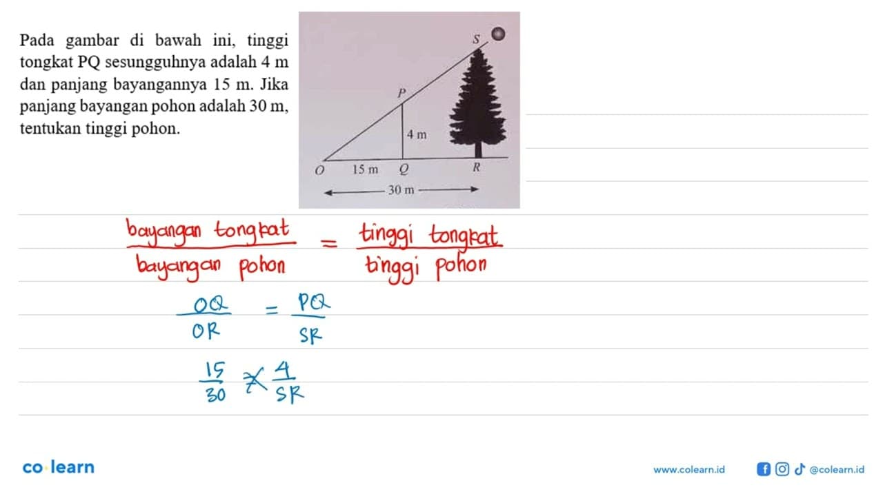 Pada gambar di bawah ini, tinggi tongkat PQ sesungguhnya