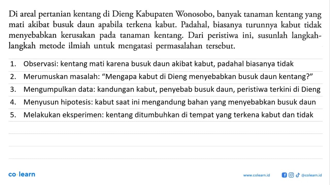 Di areal pertanian kentang di Dieng Kabupaten Wonosobo,