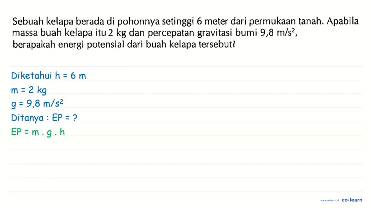 Sebuah kelapa berada di pohonnya setinggi 6 meter dari