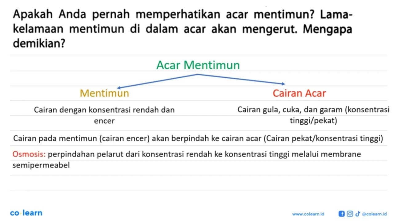 Apakah Anda pernah memperhatikan acar mentimun?