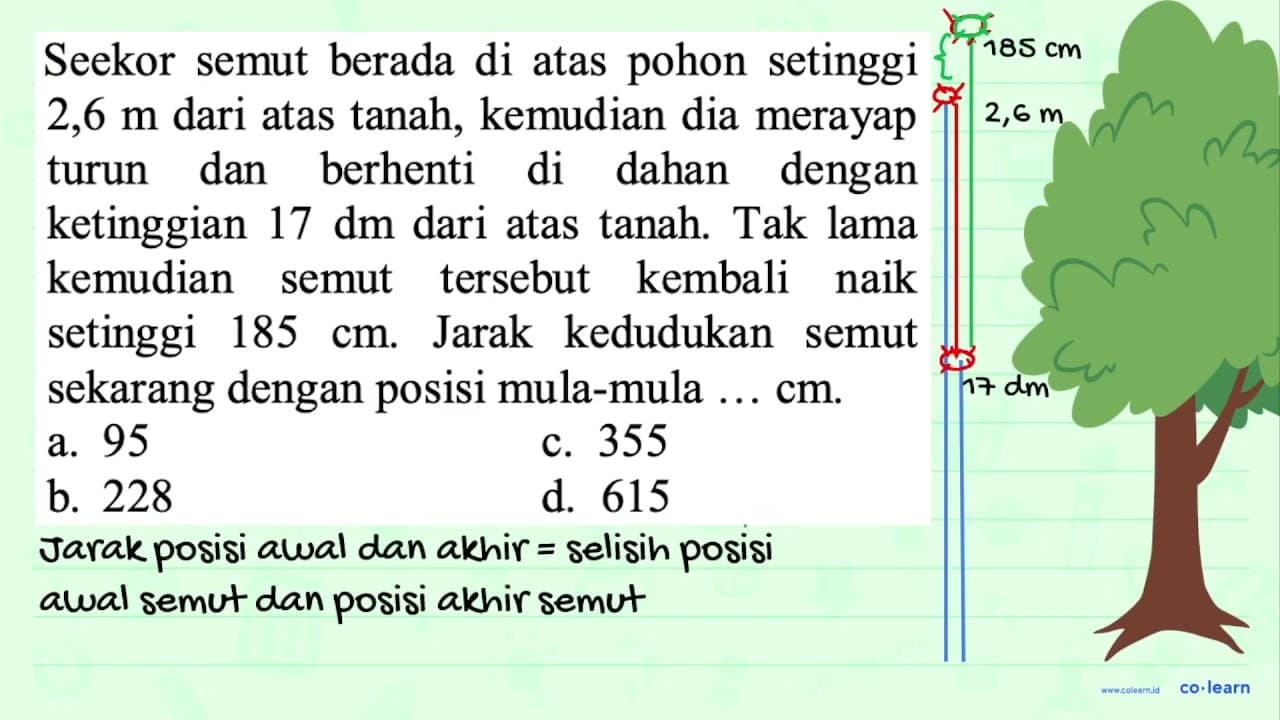 Seekor semut berada di atas pohon setinggi 2,6 m dari atas