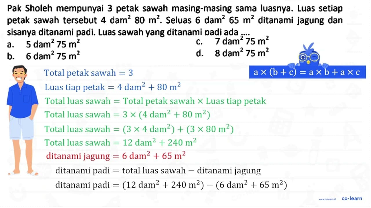 Pak Sholeh mempunyai 3 petak sawah masing-masing sama