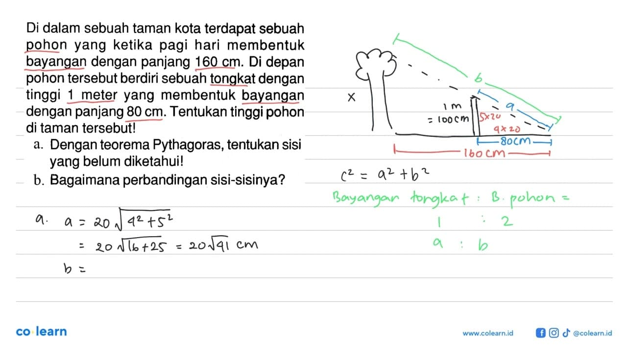 Di dalam sebuah taman kota terdapat sebuah pohon yang