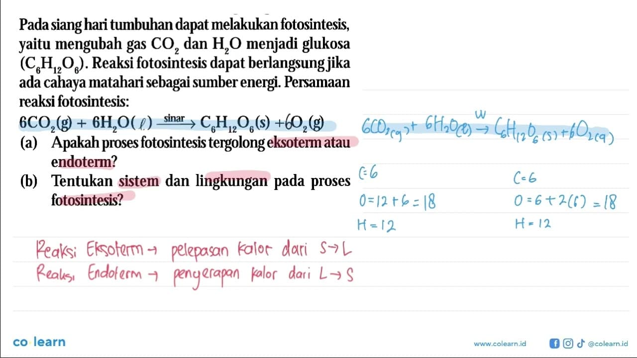 Pada siang hari tumbuhan dapat melakukan fotosintesis yaitu