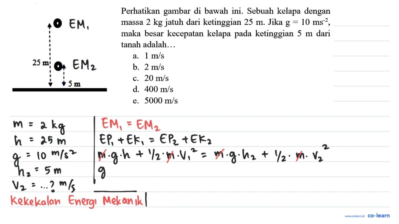 Perhatikan gambar di bawah ini. Sebuah kelapa dengan massa