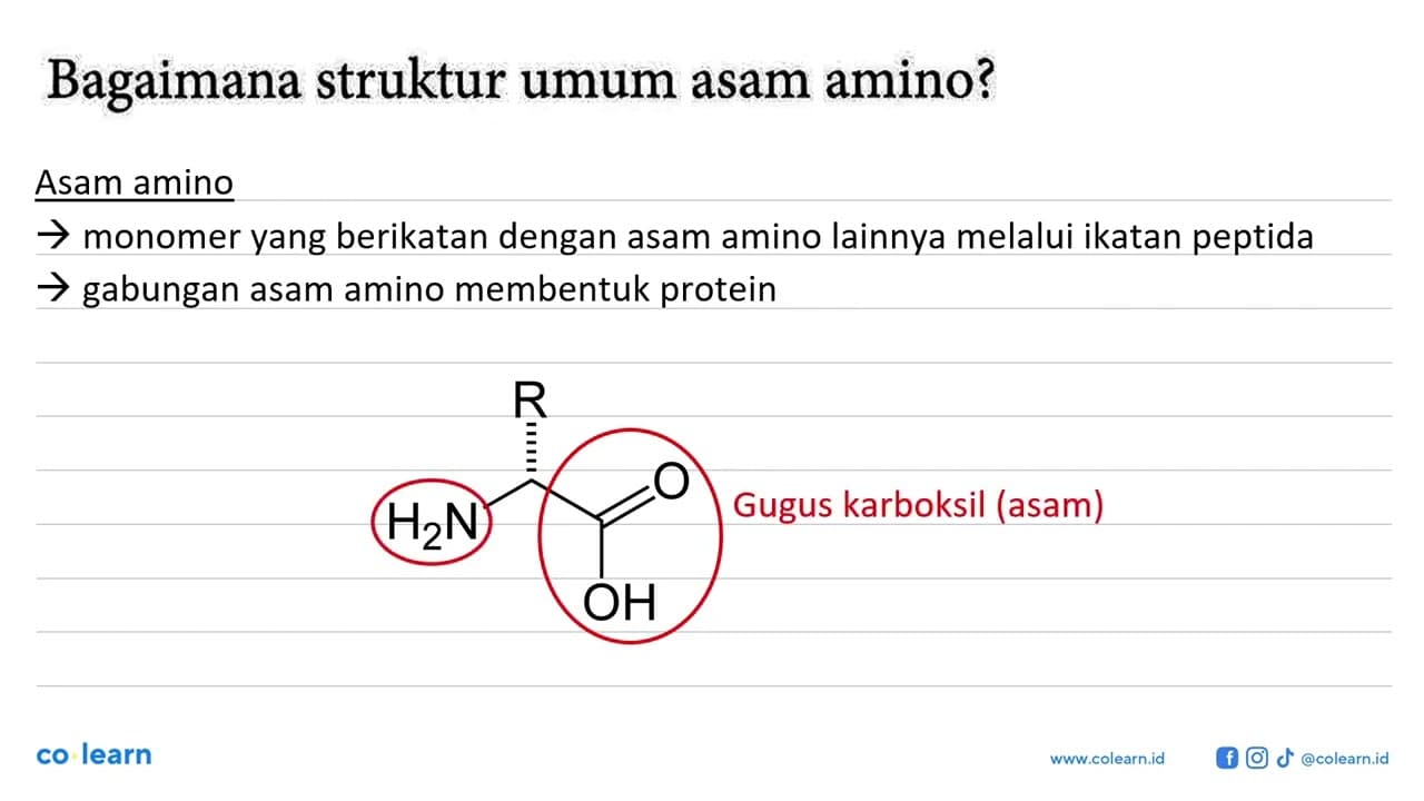 Bagaimana struktur umum asam amino?