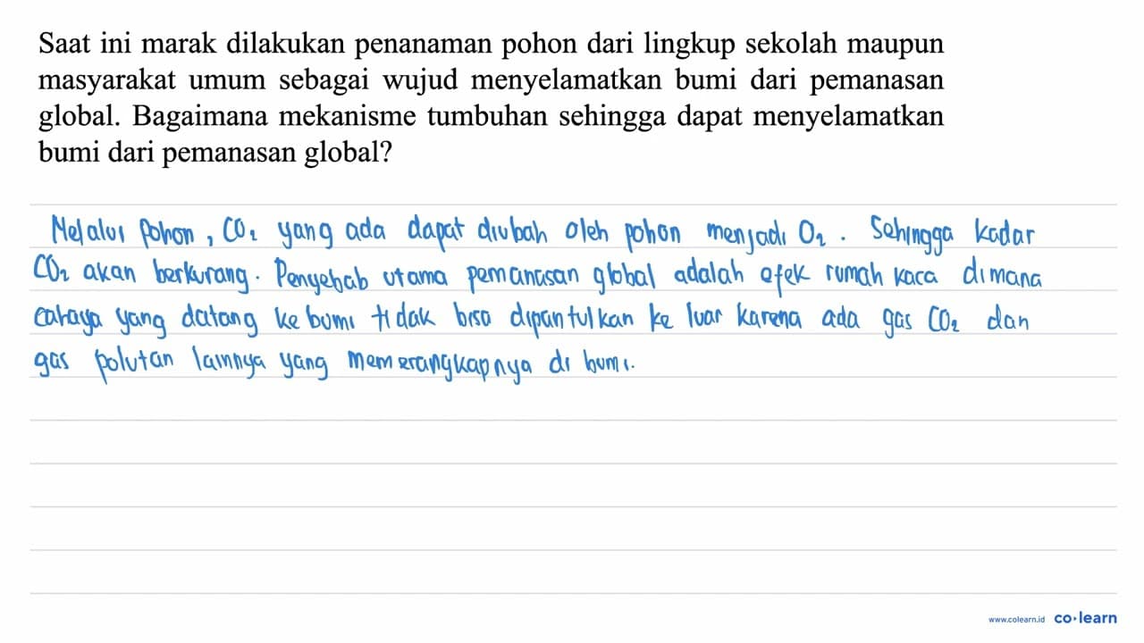 Saat ini marak dilakukan penanaman pohon dari lingkup