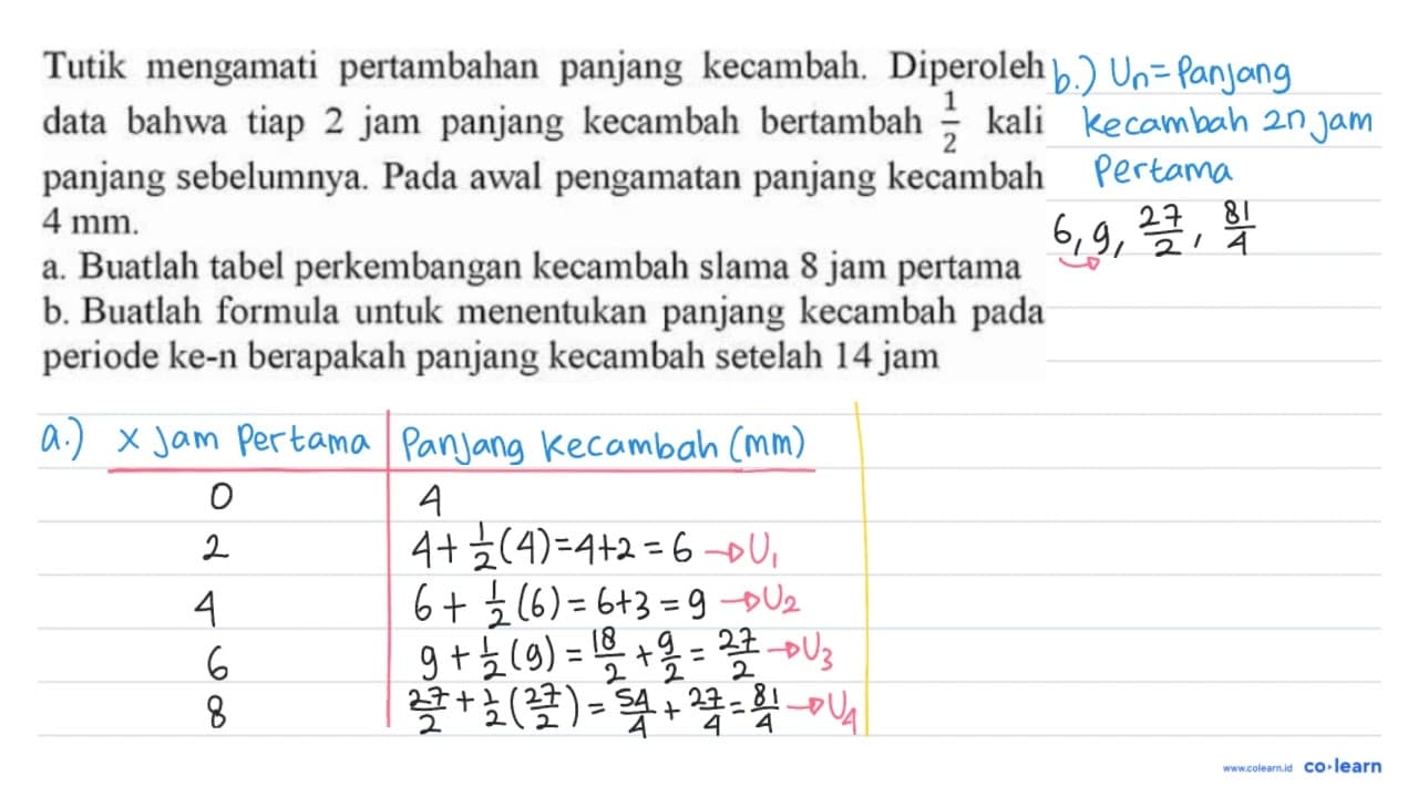 Tutik mengamati pertambahan panjang kecambah. Diperoleh