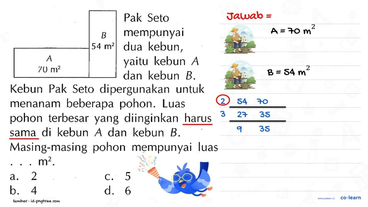 A 70 m^2 B 54m^2 Pak Seto mempunyai dua kebut, yaitu kebun