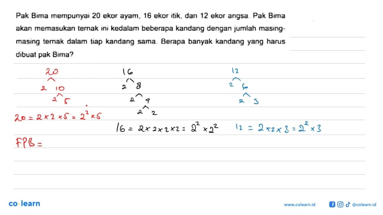 Pak Bima mempunyai 20 ekor ayam, 16 ekor itik, dan 12 ekor