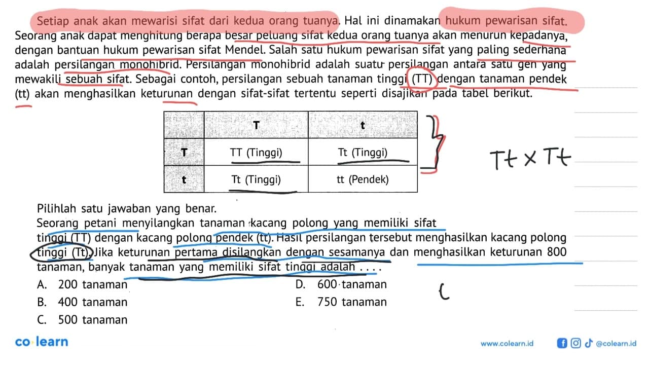 Setiap anak akan mewarisi sifat dari kedua orang tuanya.