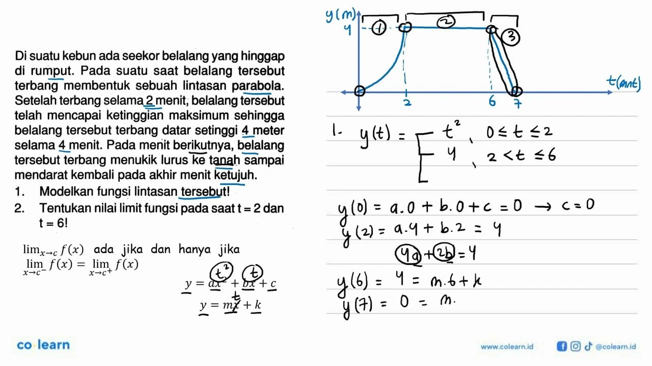 Di suatu kebun ada seekor belalang yang hinggap di rumput.