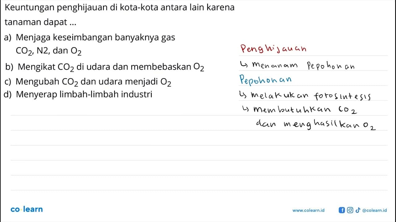 Keuntungan penghijauan di kota-kota antara lain karena