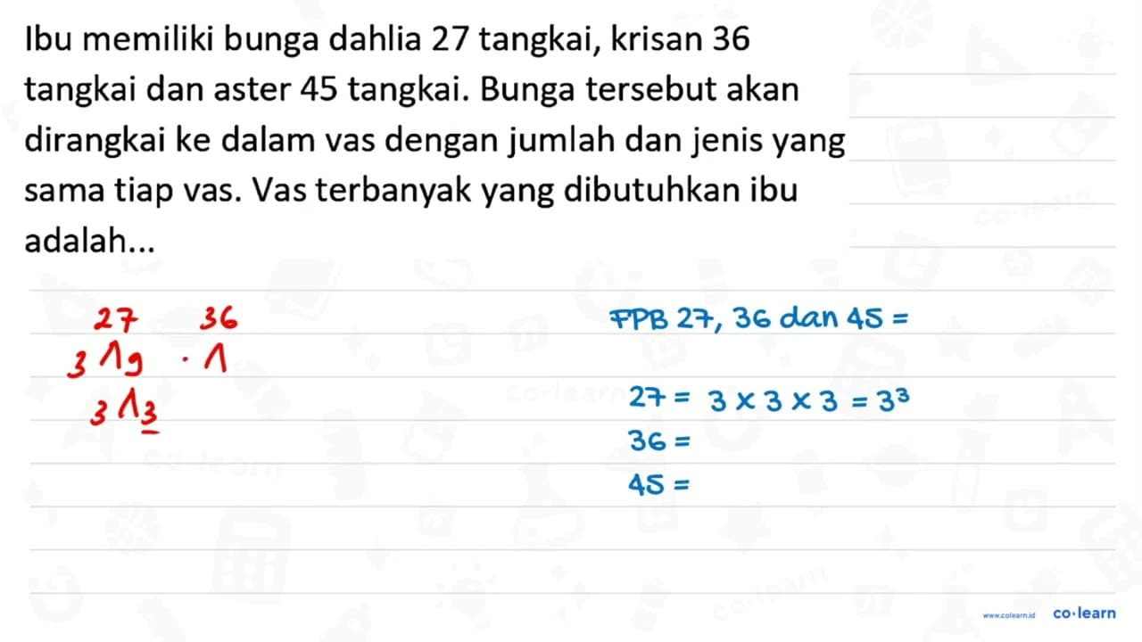 Ibu memiliki bunga dahlia 27 tangkai, krisan 36 tangkai dan