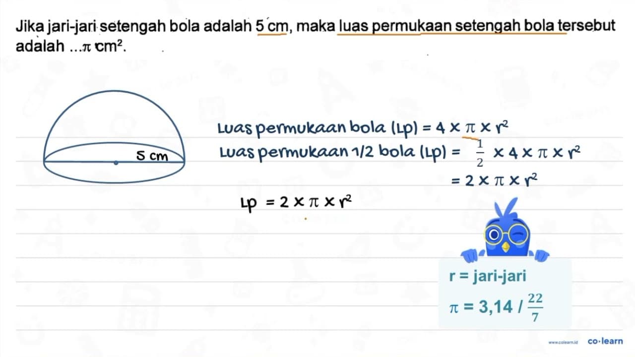 Jika jari-jari setengah bola adalah 5 cm, maka luas