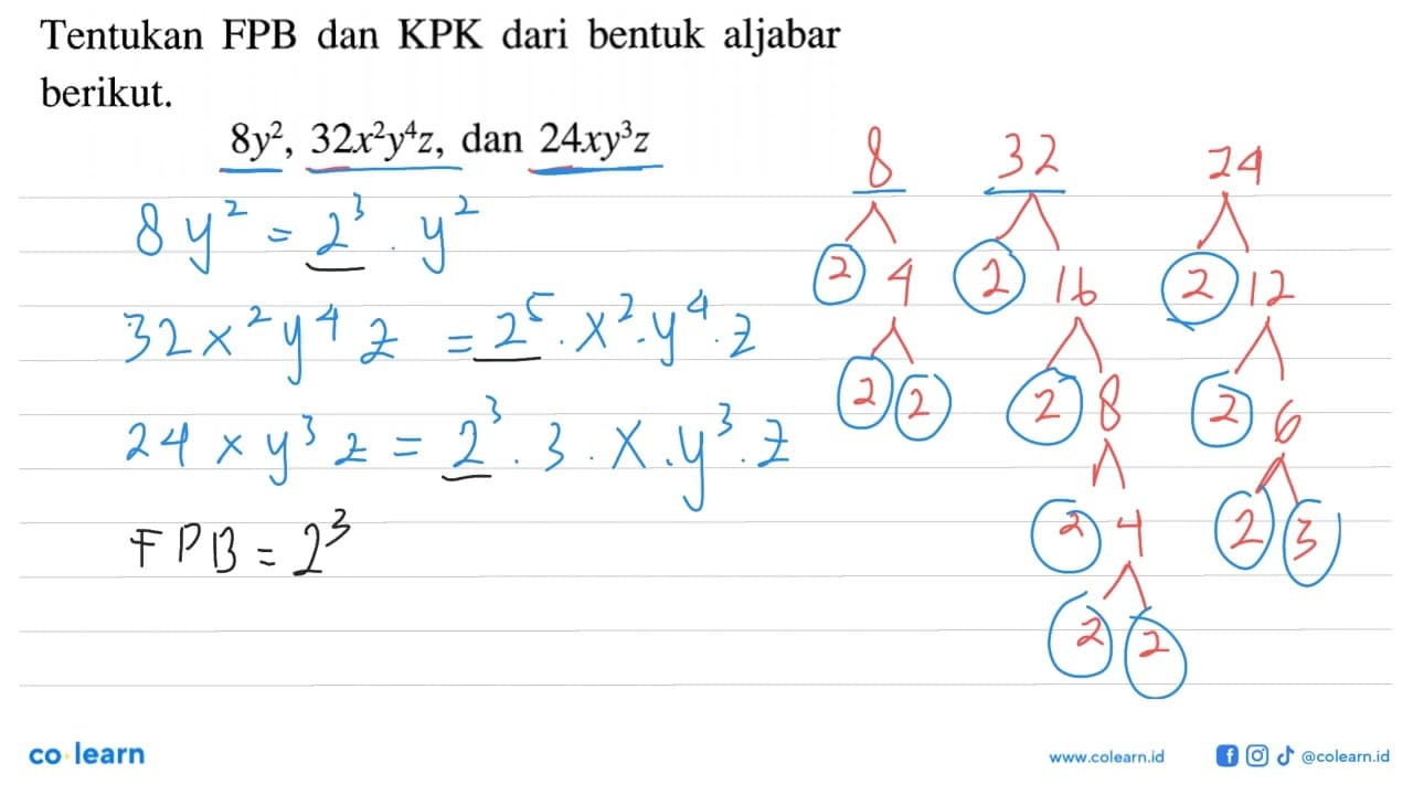 Tentukan FPB dan KPK dari bentuk aljabar berikut. 8y^2,