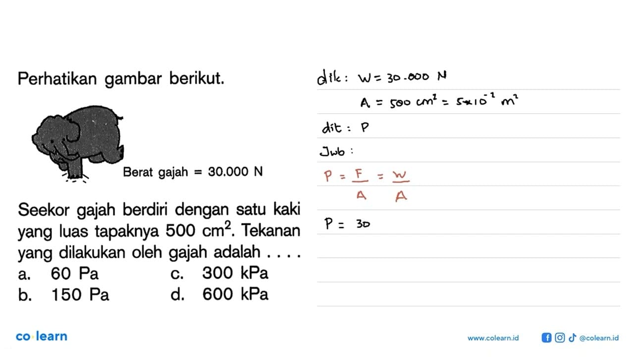 Perhatikan gambar berikut. Seekor gajah berdiri dengan satu