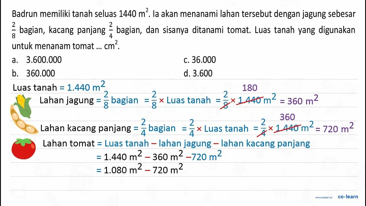 Badrun memiliki tanah seluas 1440 m^2. Ia akan menanami