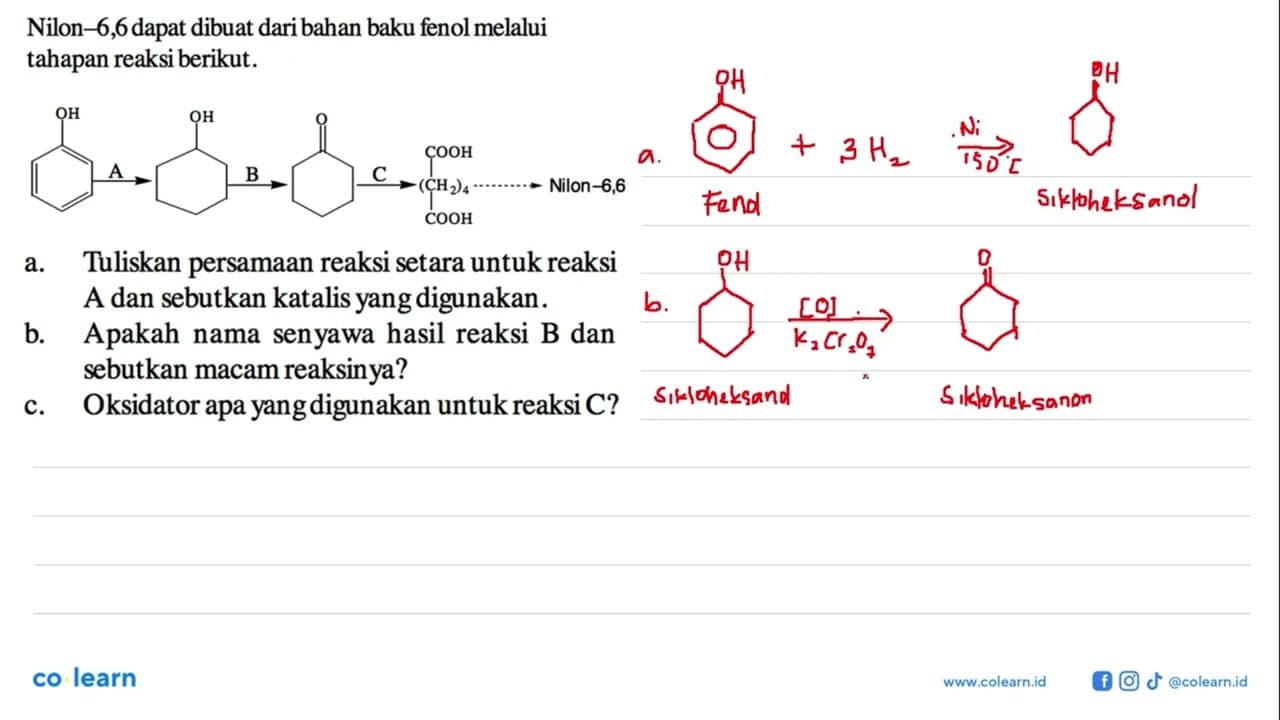 Nilon-6,6 dapat dibuat daribahan baku fenol melalui tahapan