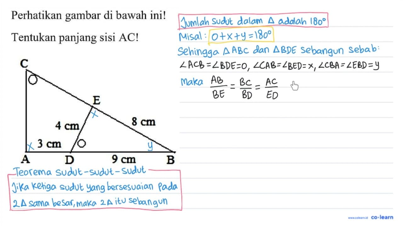 Perhatikan gambar di bawah ini! Tentukan panjang sisi AC! C