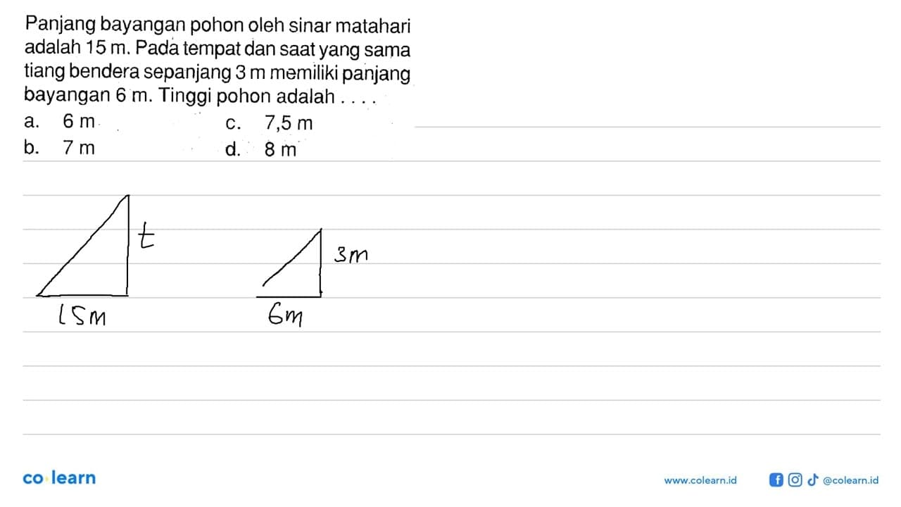 Panjang bayangan pohon oleh sinar matahari adalah 15 m .