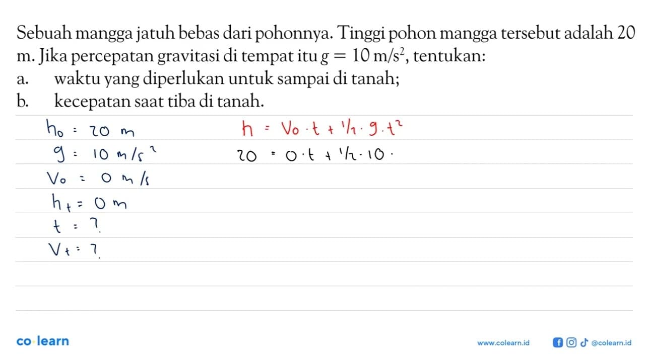 Sebuah mangga jatuh bebas dari pohonnya. Tinggi pohon