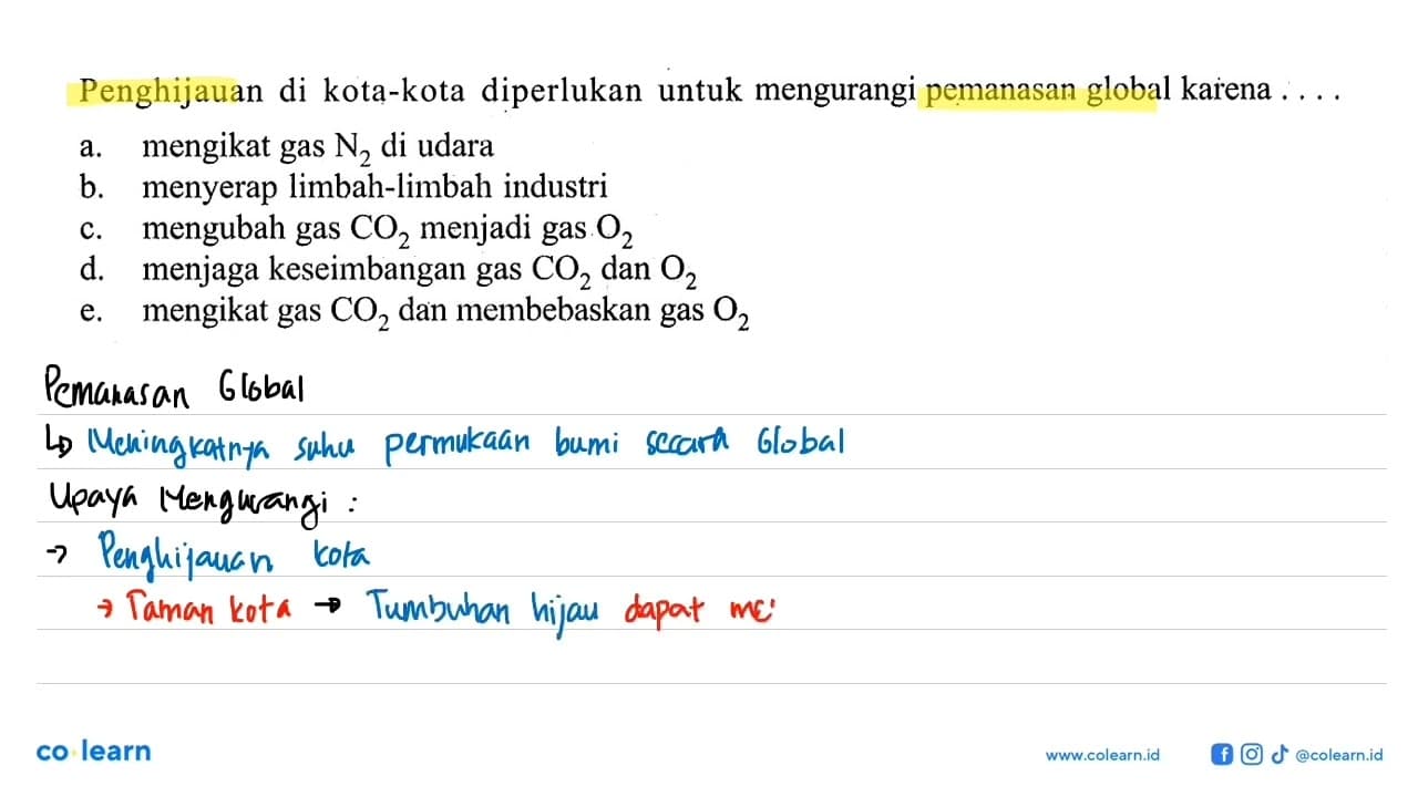 Penghijauan di kota-kota diperlukan untuk mengurangi