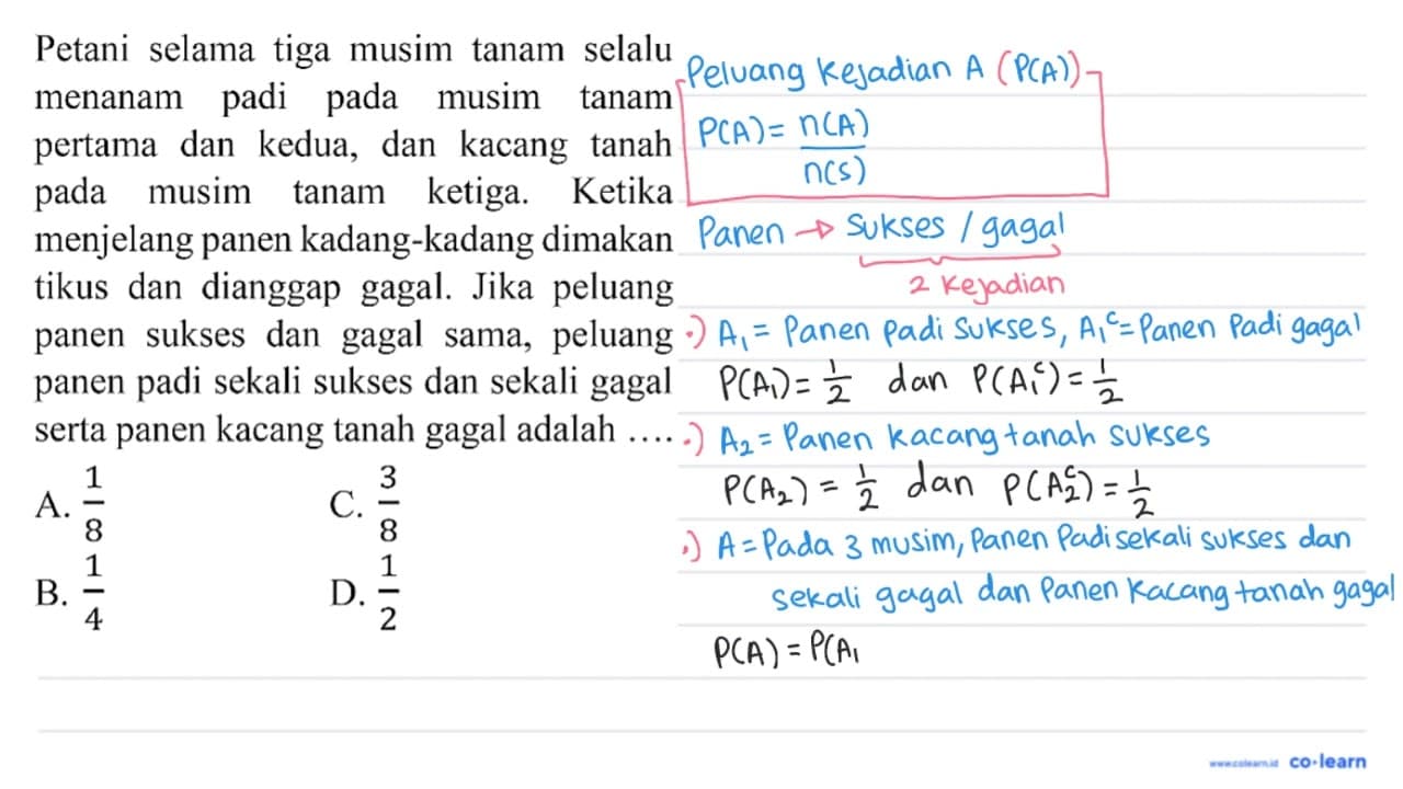 Petani selama tiga musim tanam selalu menanam padi pada