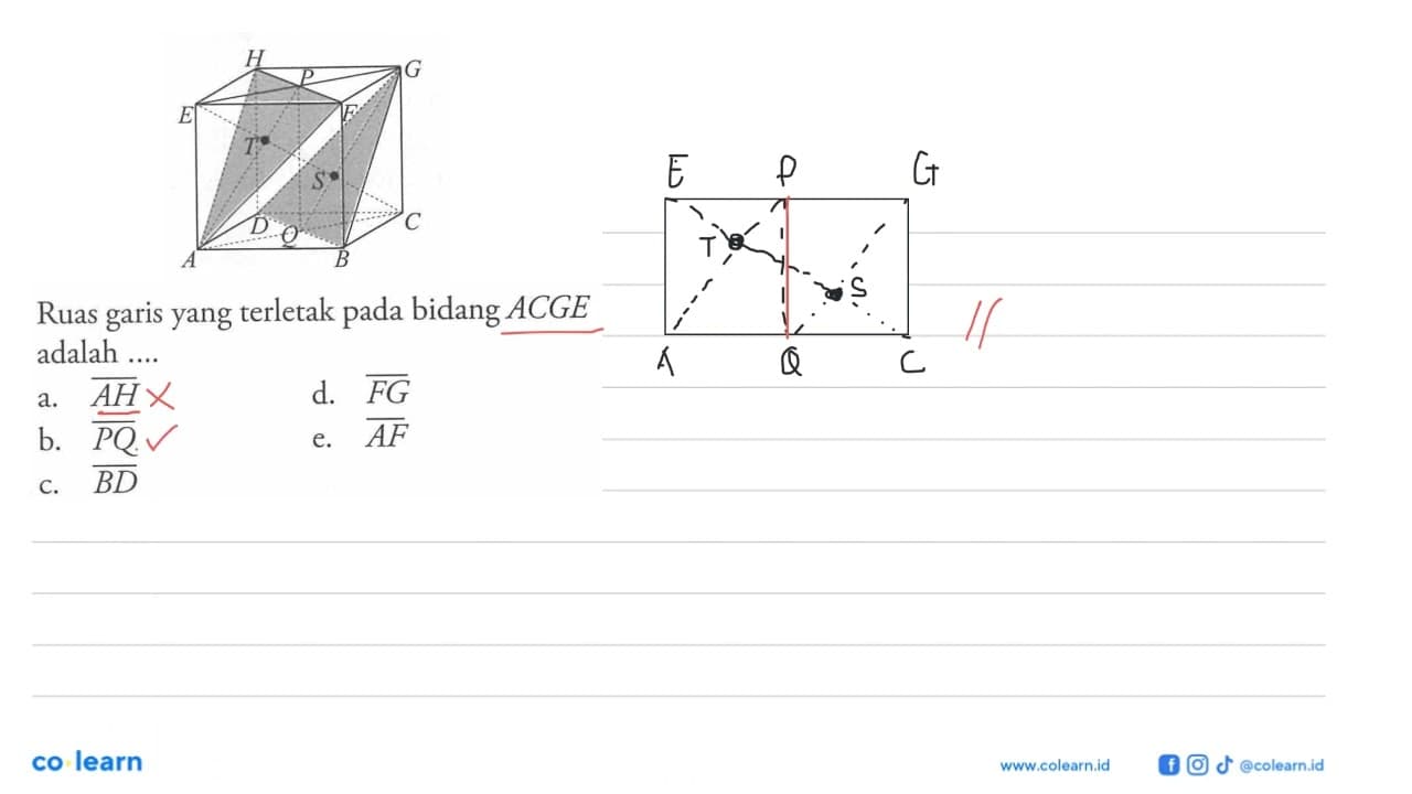 H G P E F T S D C Q A B Ruas garis yang terletak pada